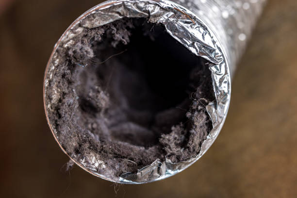 Best Affordable Air Duct Cleaning  in Eastmont, WA