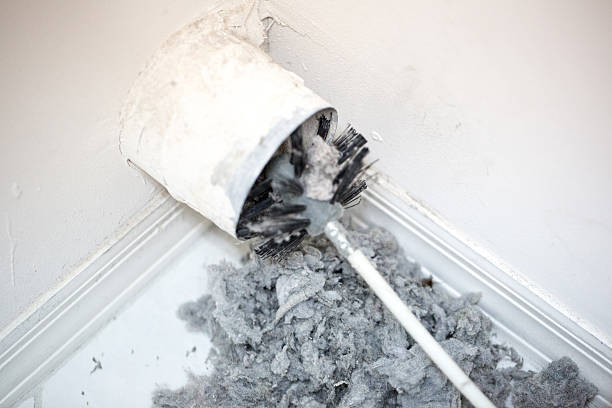 Best Dryer Vent Cleaning Services  in Eastmont, WA